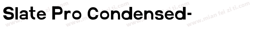 Slate Pro Condensed字体转换